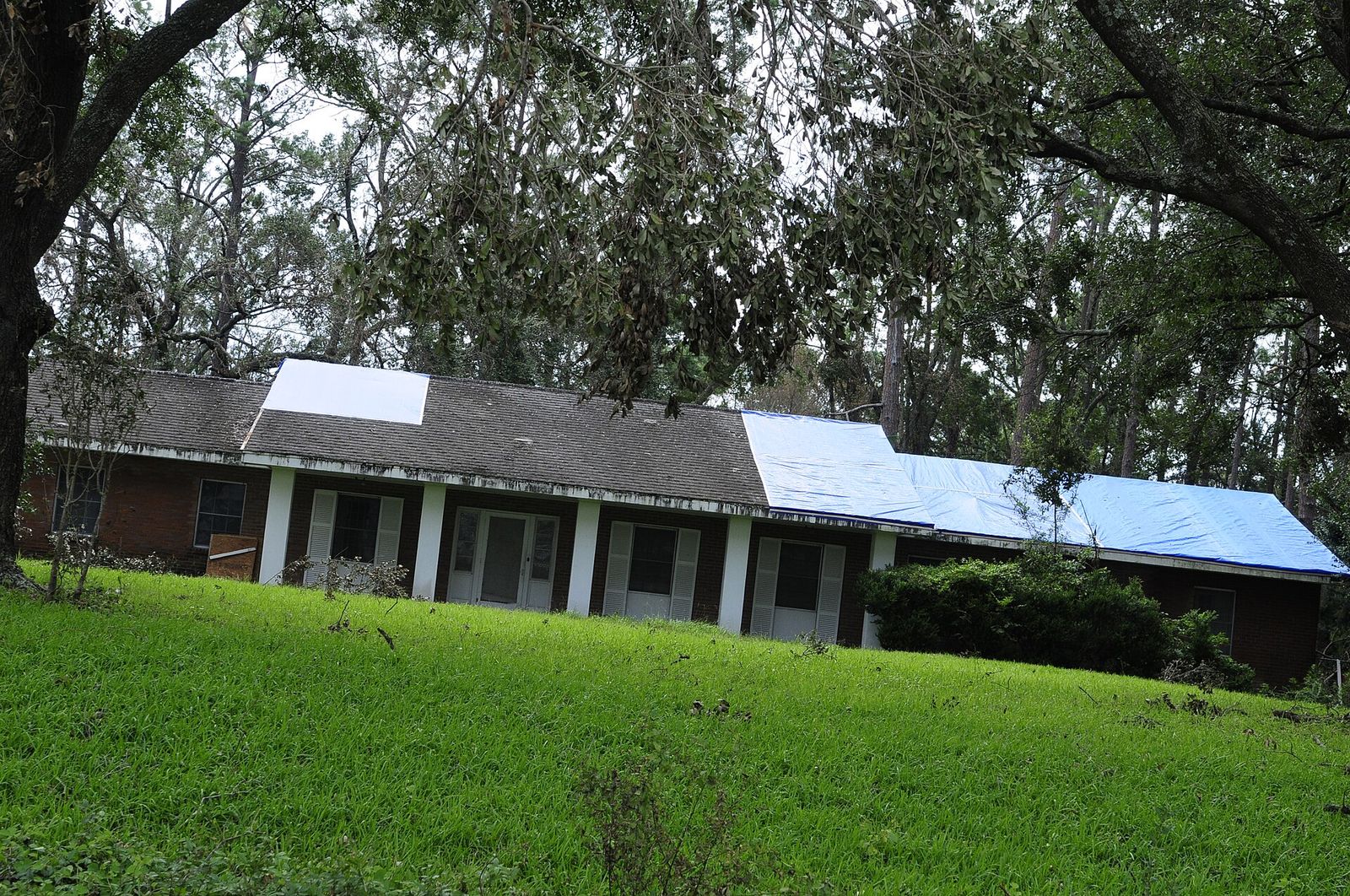 Wind-damaged shingles lifted off a roof after a storm
